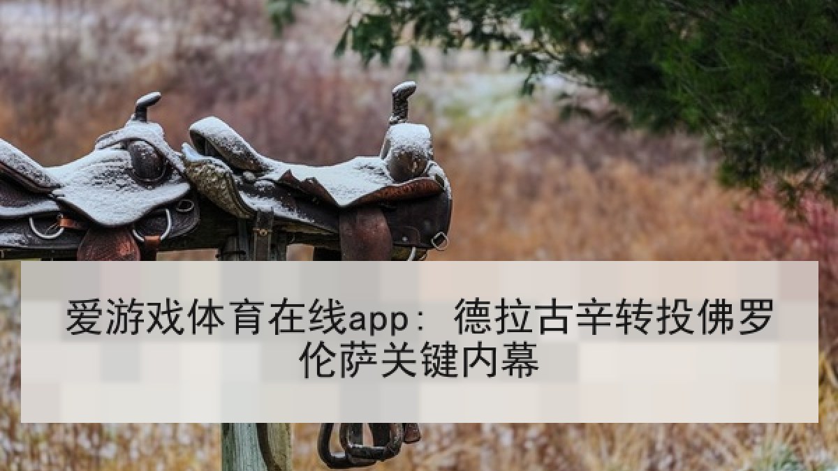 爱游戏体育在线app: 德拉古辛转投佛罗伦萨关键内幕 爱游戏体育在线app: 德拉古辛转投佛罗伦萨关键内幕